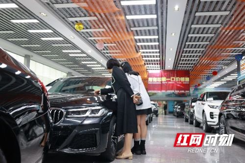 海外掘金加速流通 南宁二手车市场焕发发展新机遇