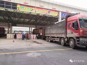 南宁农产品交易中心开业 农产品批发与二手交易的一站式平台